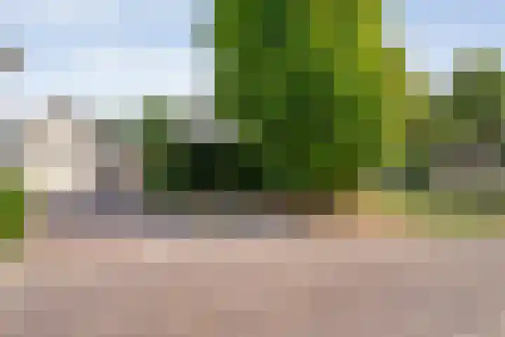 Suuddal 53 Zuidwolde thumbnail 49