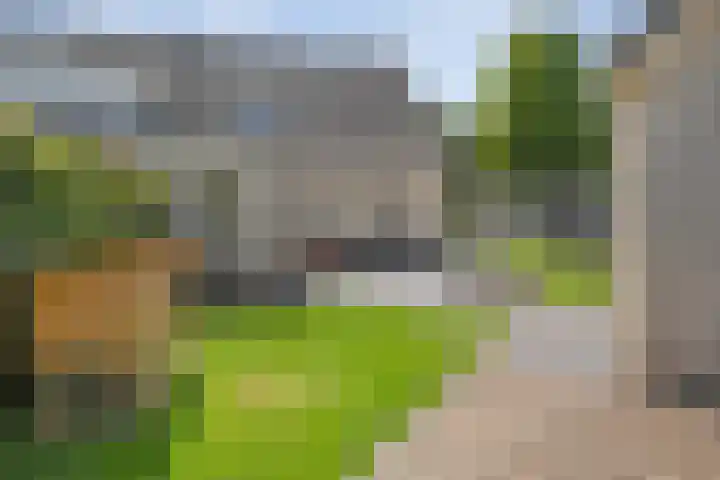 Suuddal 53 Zuidwolde thumbnail 5