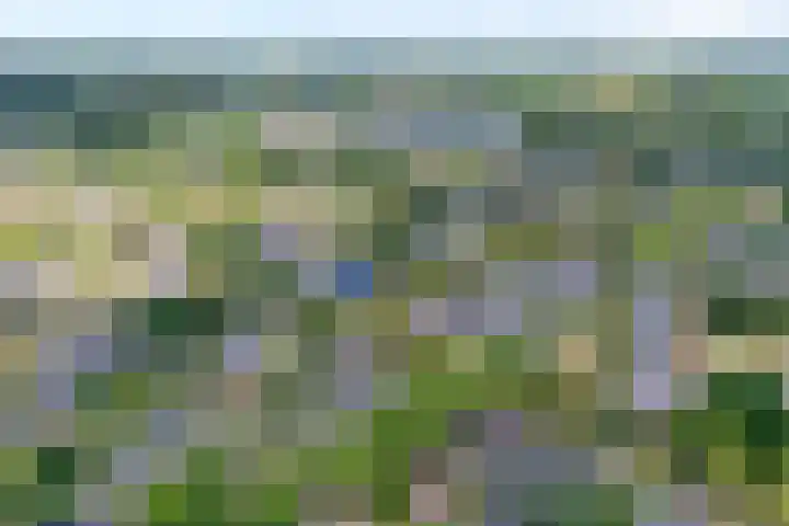 Suuddal 53 Zuidwolde thumbnail 51