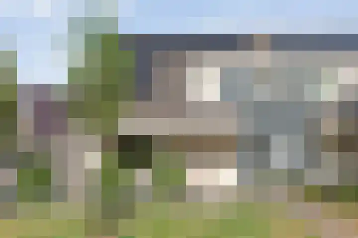 Suuddal 53 Zuidwolde thumbnail 6