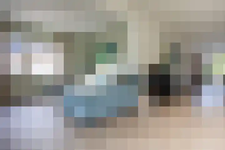 Suurhofflaan 4 Eindhoven thumbnail 10