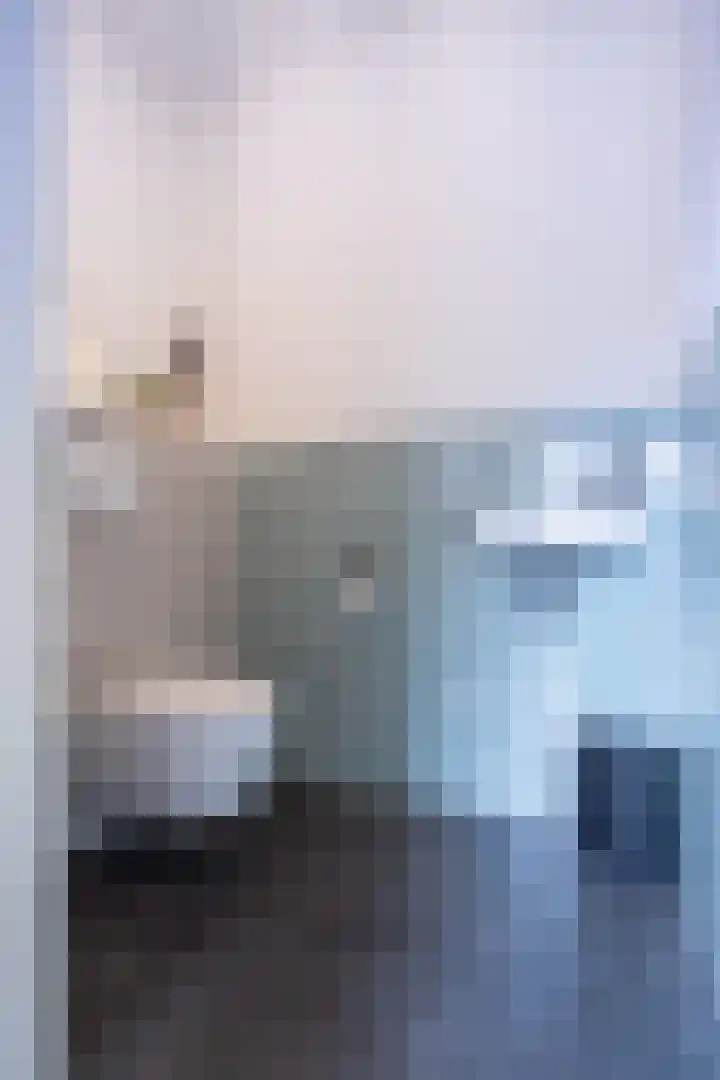 Suurhofflaan 4 Eindhoven thumbnail 20