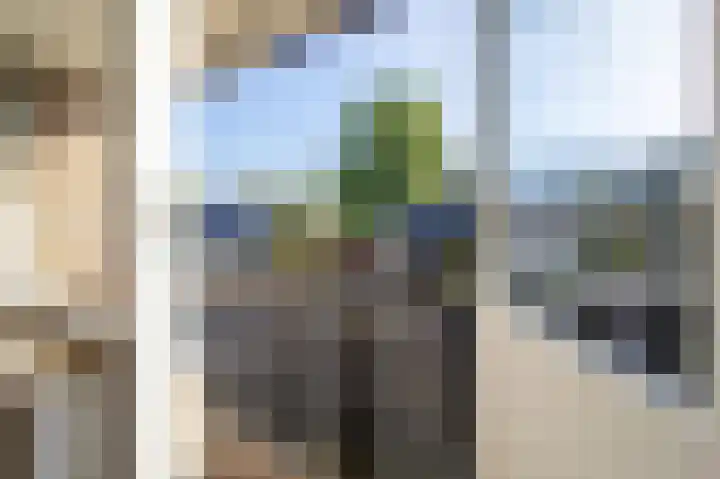 Suurhofflaan 4 Eindhoven thumbnail 24