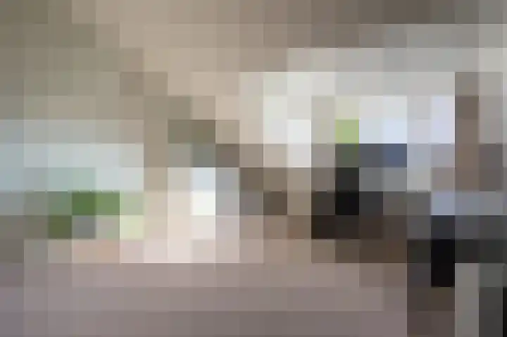 Suurhofflaan 4 Eindhoven thumbnail 33
