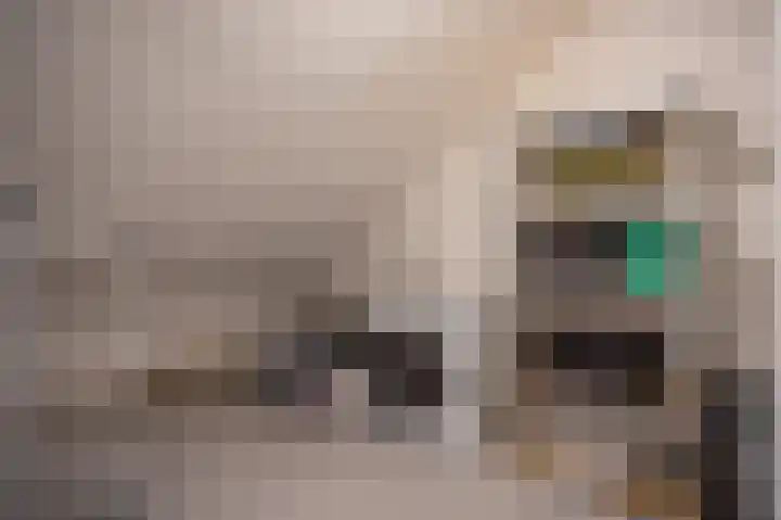 Suurhofflaan 4 Eindhoven thumbnail 36