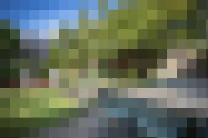 Suurhofflaan 4 Eindhoven thumbnail 39