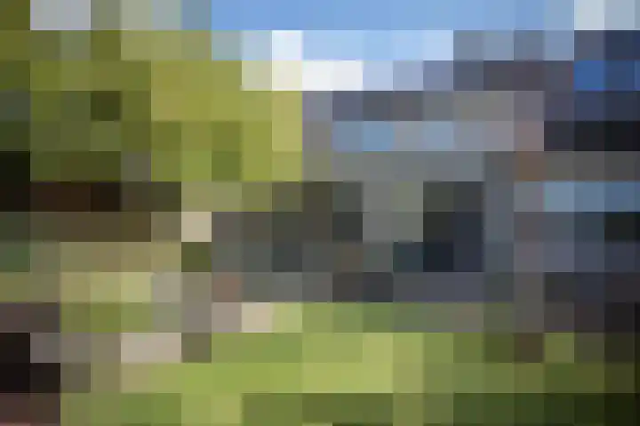 Suurhofflaan 4 Eindhoven thumbnail 40