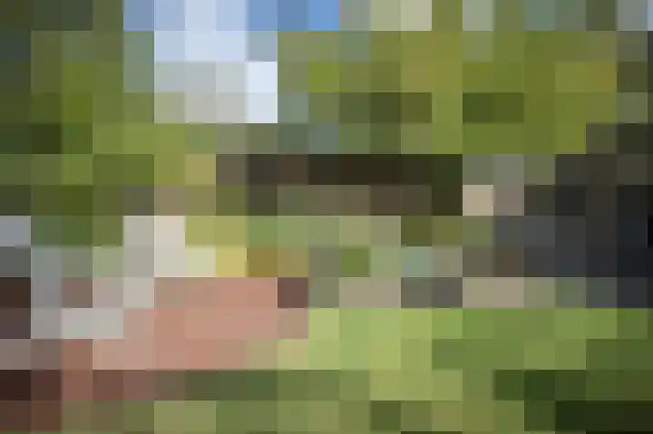 Suurhofflaan 4 Eindhoven thumbnail 41