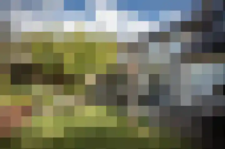 Suurhofflaan 4 Eindhoven thumbnail 44