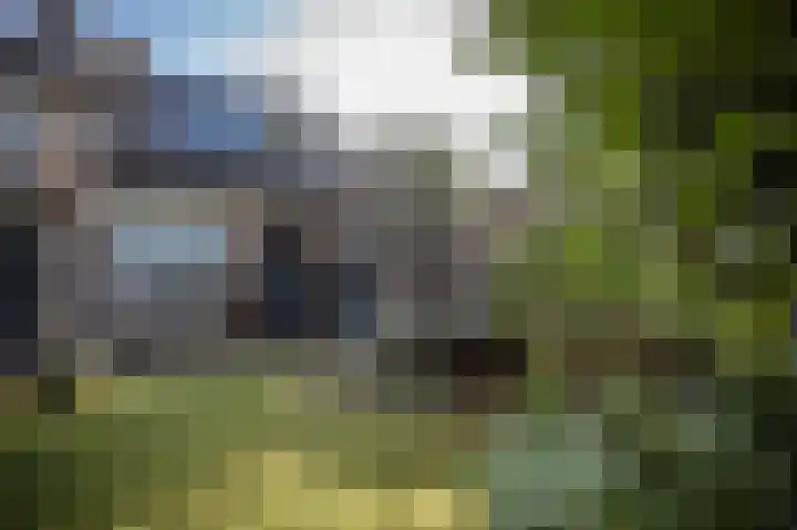Suurhofflaan 4 Eindhoven thumbnail 46