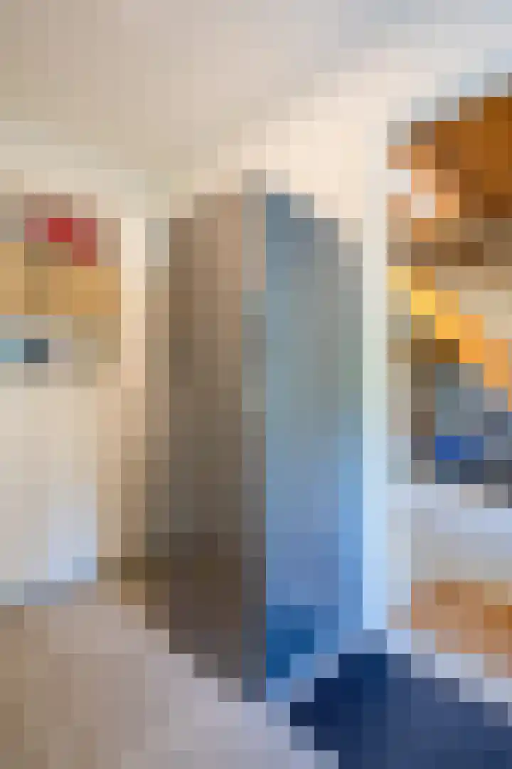 Suurhofflaan 4 Eindhoven thumbnail 48