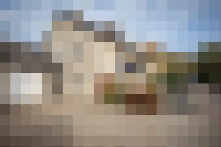 Suurhofflaan 4 Eindhoven thumbnail 53
