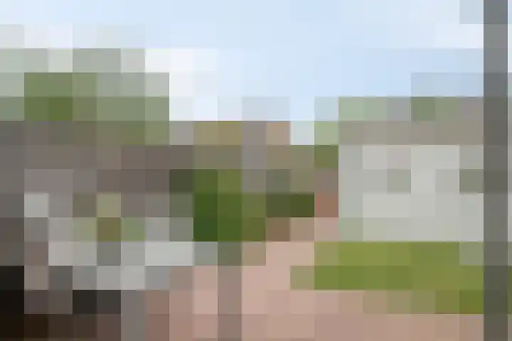 Suurhoffstraat 15 Zwolle thumbnail 14
