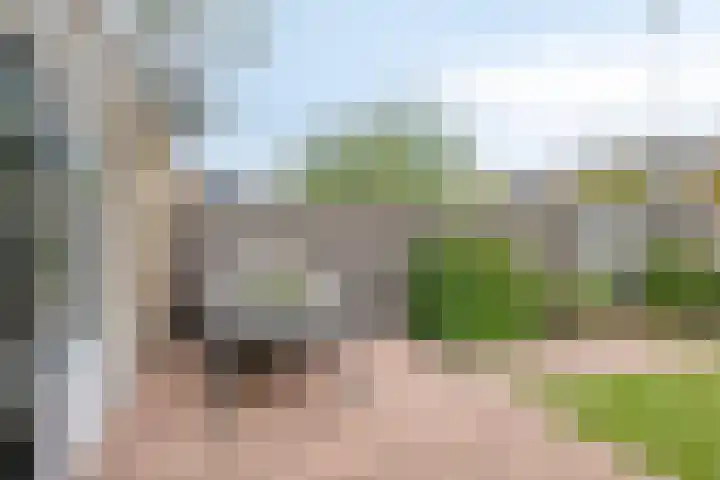 Suurhoffstraat 15 Zwolle thumbnail 15