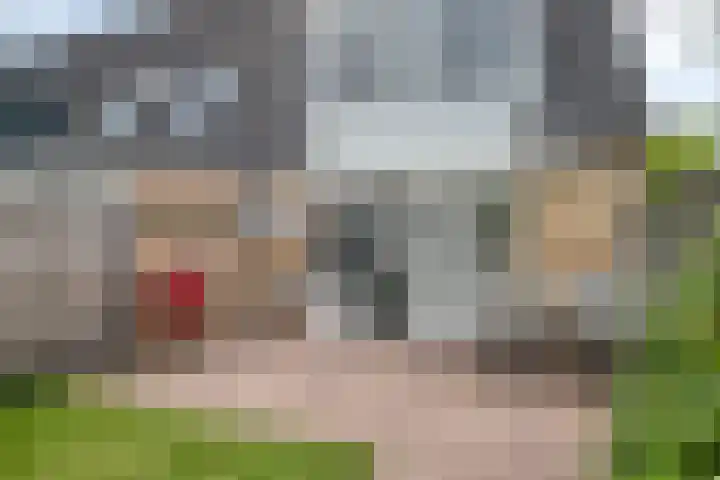 Suurhoffstraat 15 Zwolle thumbnail 16