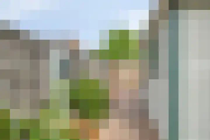Suurhoffstraat 15 Zwolle thumbnail 18
