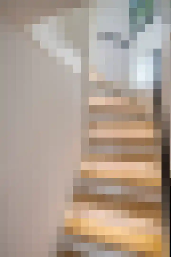 Suurhoffstraat 15 Zwolle thumbnail 25