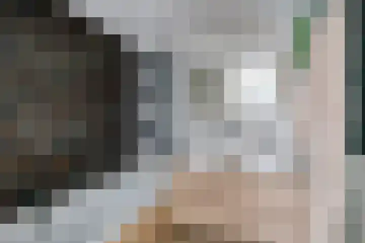 Suurhoffstraat 15 Zwolle thumbnail 27