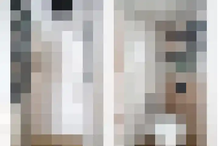 Suurhoffstraat 15 Zwolle thumbnail 31