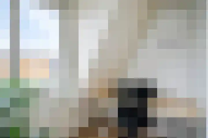 Suurhoffstraat 15 Zwolle thumbnail 33