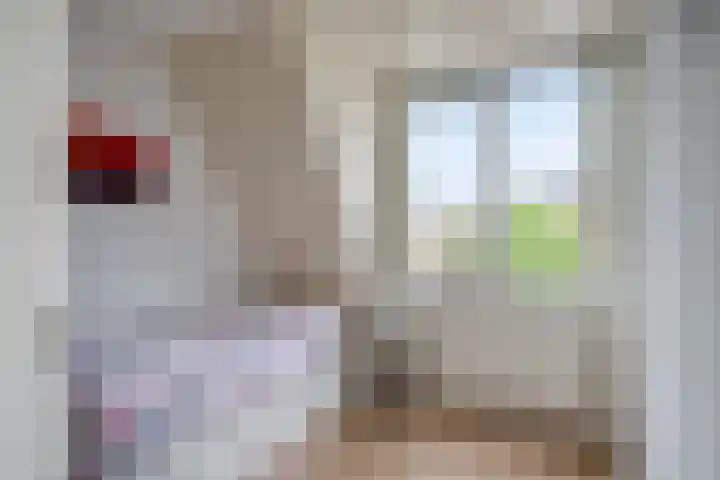 Suurhoffstraat 15 Zwolle thumbnail 34