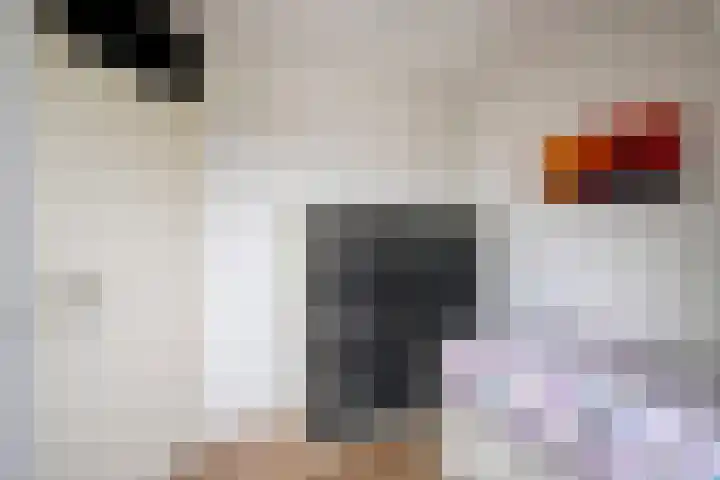 Suurhoffstraat 15 Zwolle thumbnail 35
