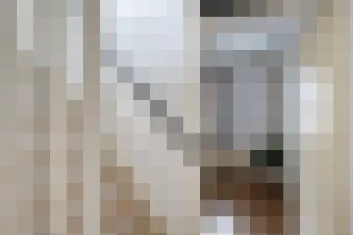 Suurhoffstraat 15 Zwolle thumbnail 36