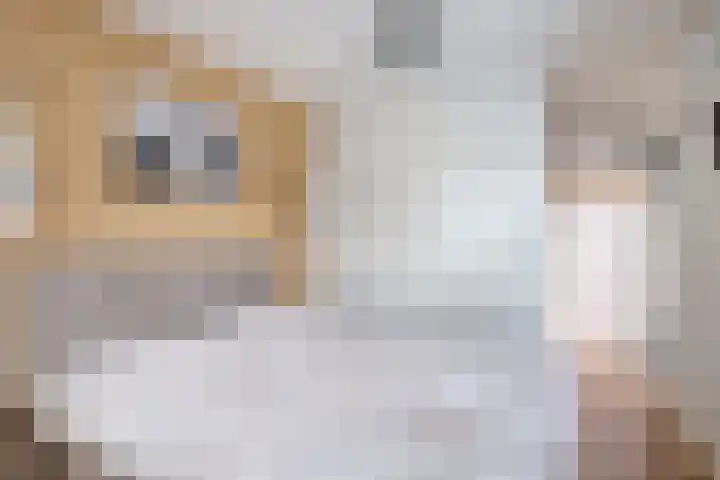 Suurhoffstraat 15 Zwolle thumbnail 38