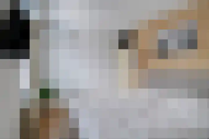 Suurhoffstraat 15 Zwolle thumbnail 39