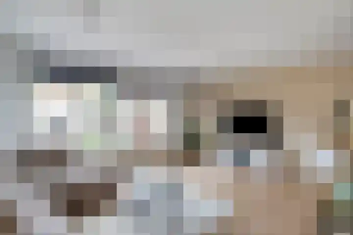 Suurhoffstraat 15 Zwolle thumbnail 4