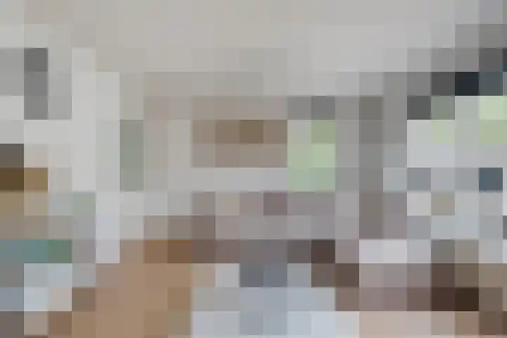 Suurhoffstraat 15 Zwolle thumbnail 6