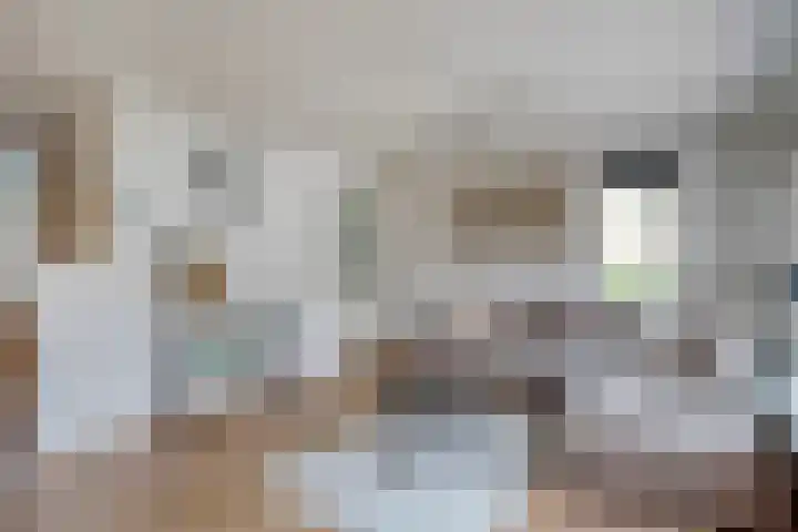 Suurhoffstraat 15 Zwolle thumbnail 7