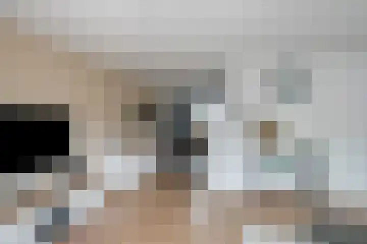 Suurhoffstraat 15 Zwolle thumbnail 8
