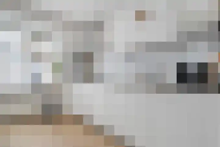 Suurhoffstraat 27 Zwolle thumbnail 13