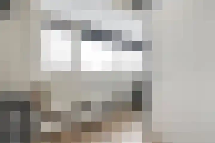 Suurhoffstraat 27 Zwolle thumbnail 31