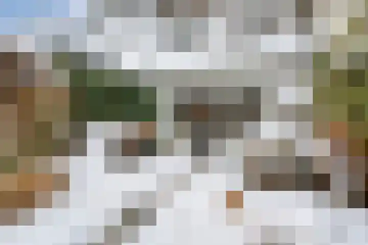 Suurhoffstraat 27 Zwolle thumbnail 33