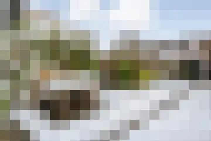 Suurhoffstraat 27 Zwolle thumbnail 34