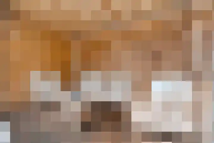 Suurhoffstraat 27 Zwolle thumbnail 36