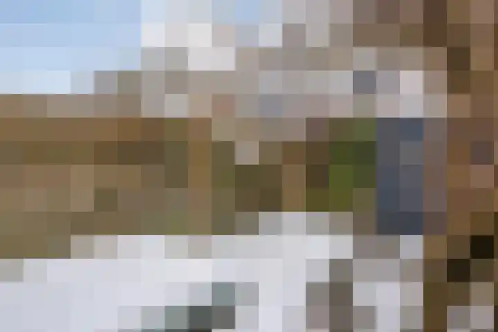 Suurhoffstraat 27 Zwolle thumbnail 38