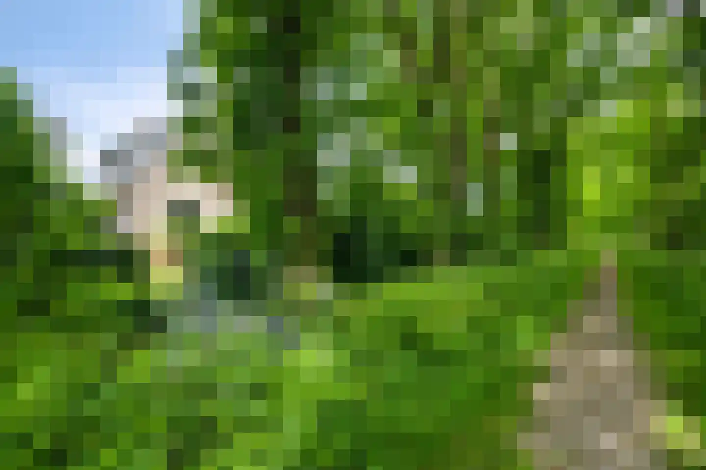 Suvelstrjitte 5 Feanwâlden thumbnail 14