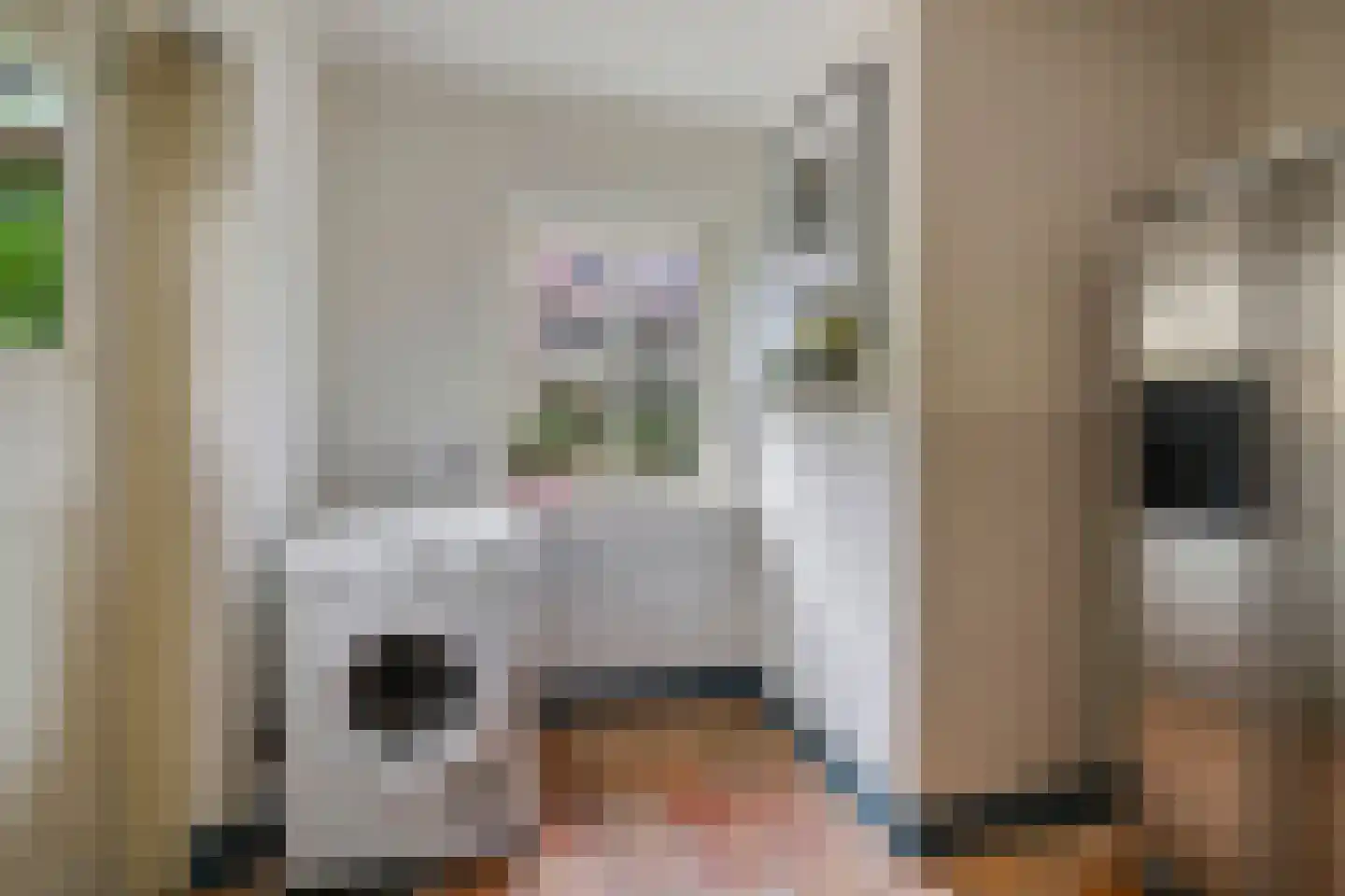 Suvelstrjitte 5 Feanwâlden thumbnail 17