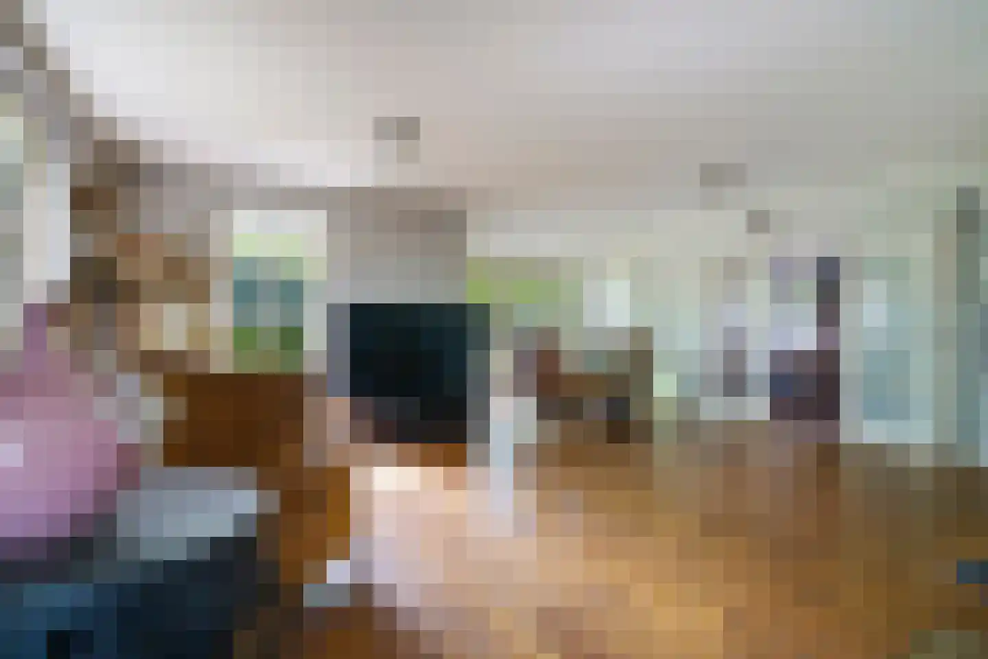 Suvelstrjitte 5 Feanwâlden thumbnail 21
