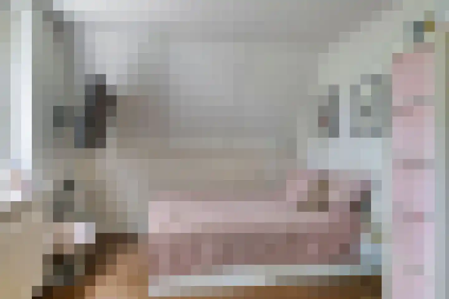 Suvelstrjitte 5 Feanwâlden thumbnail 28