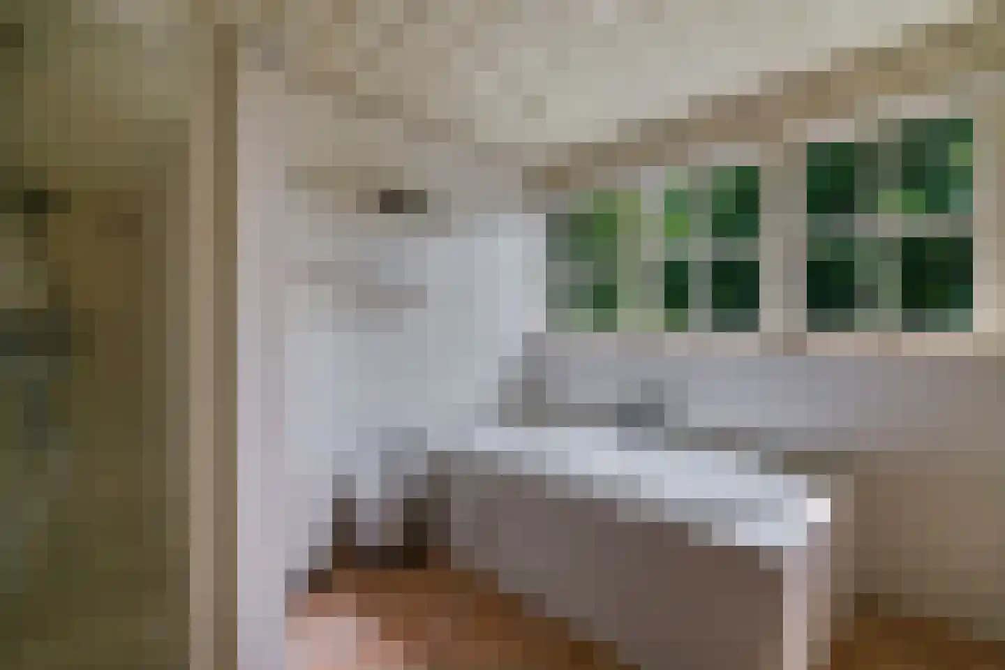 Suvelstrjitte 5 Feanwâlden thumbnail 32