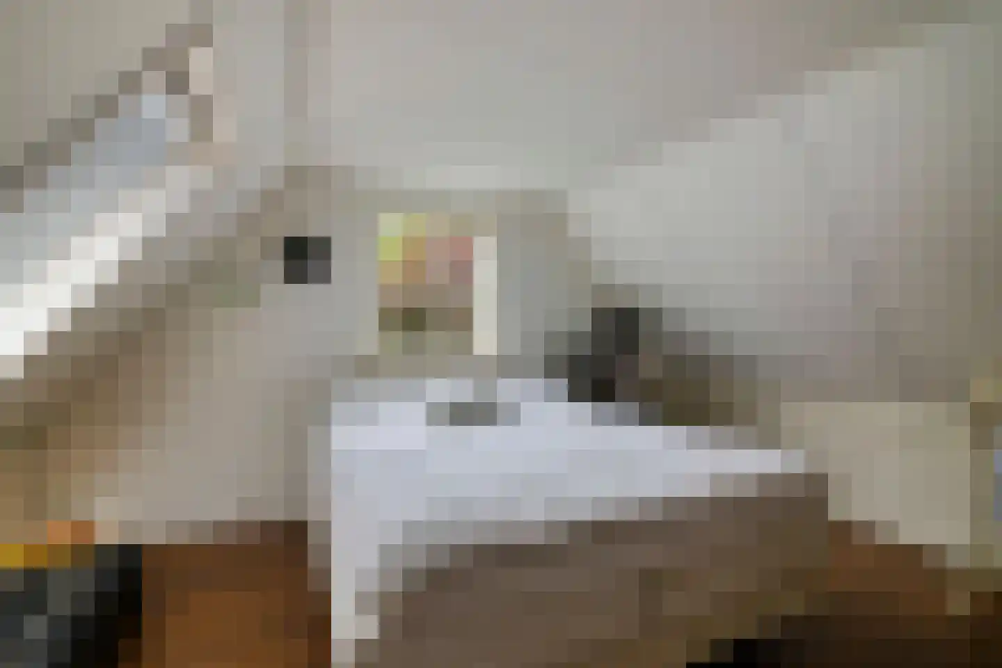 Suvelstrjitte 5 Feanwâlden thumbnail 33