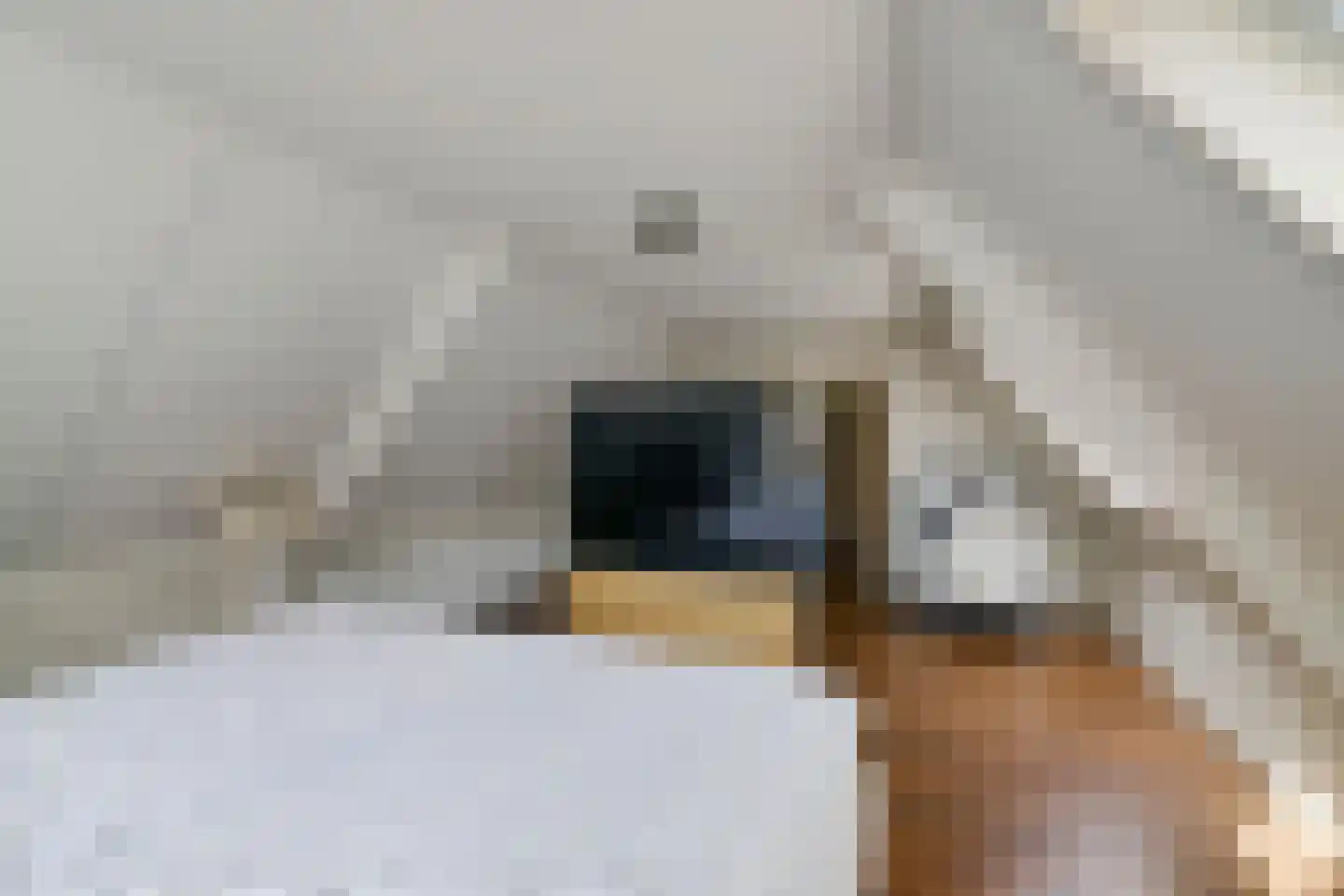 Suvelstrjitte 5 Feanwâlden thumbnail 34