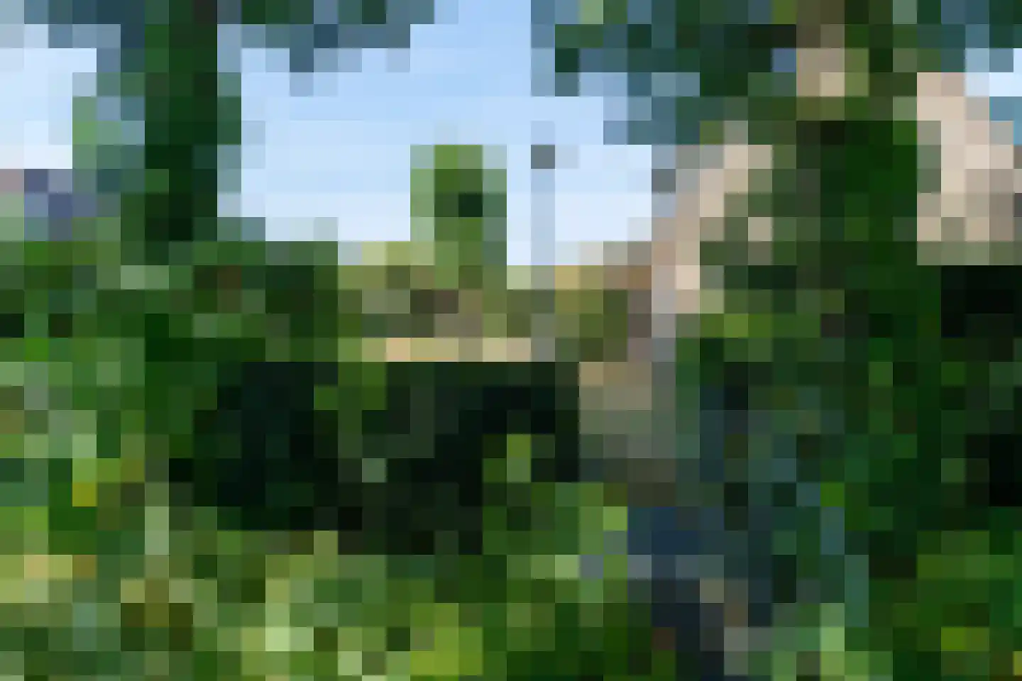 Suvelstrjitte 5 Feanwâlden thumbnail 47