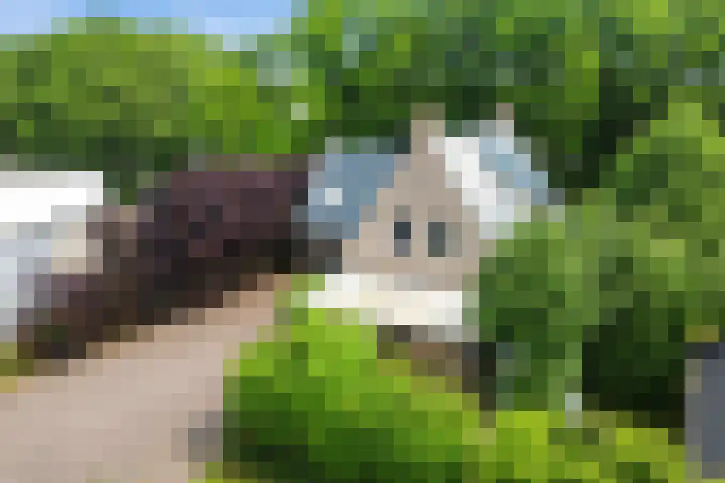 Suvelstrjitte 5 Feanwâlden thumbnail 50