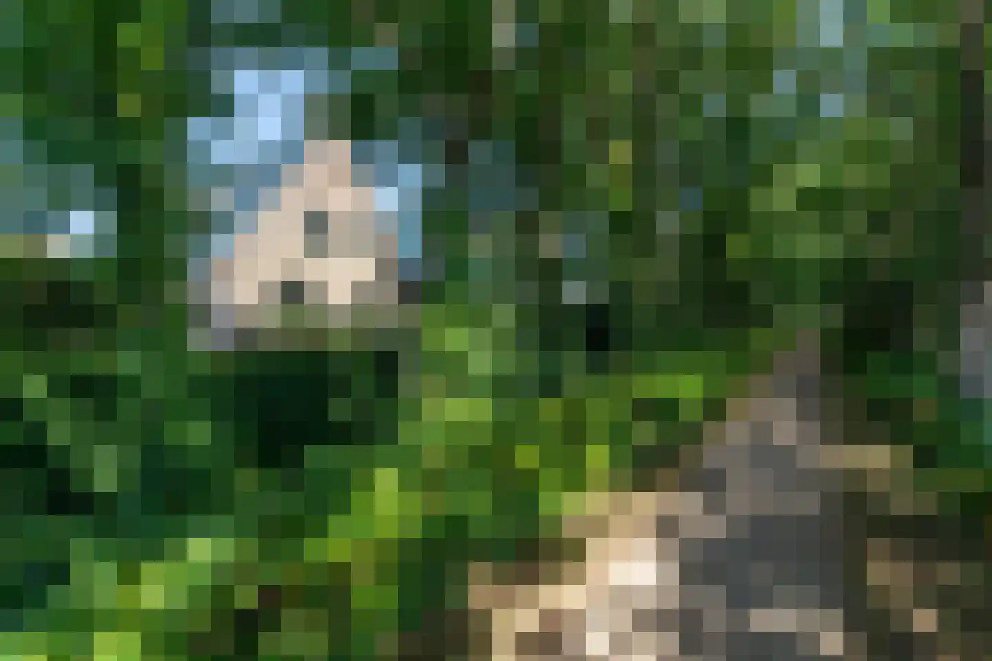 Suvelstrjitte 5 Feanwâlden thumbnail 6