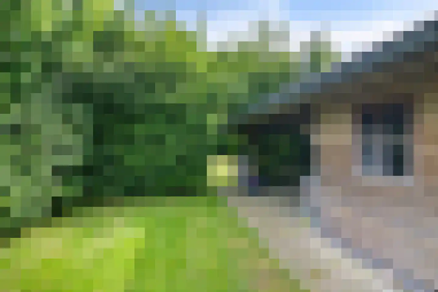 Suvelstrjitte 5 Feanwâlden thumbnail 8